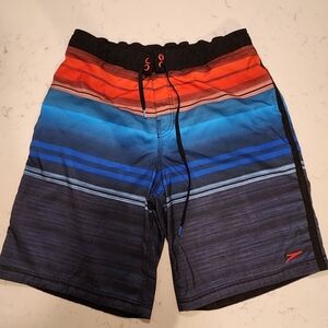 Speedo Board Swim Shorts